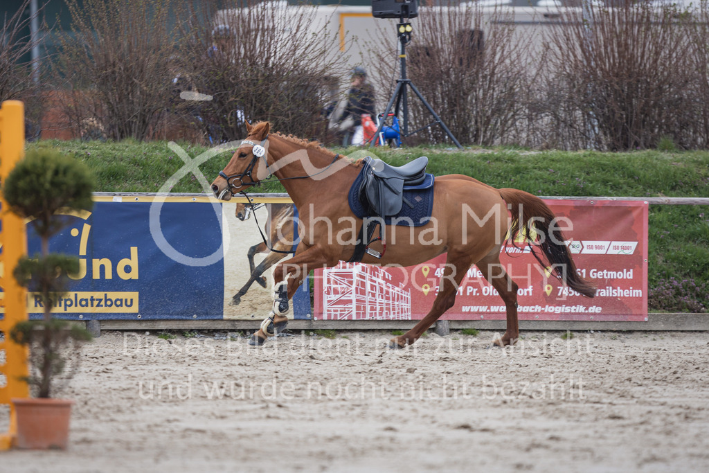 230408_Frühlingsfest_Stil-A2_LK5-6-753 | Deine schönsten Turniermomente als professionelle Fotos! Entdecke hochwertige Pferdesport-Fotografie im Online-Shop. Jetzt Fotos finden & bestellen!