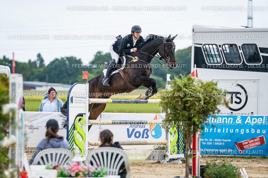 DSC07096 | Pferdegrafie