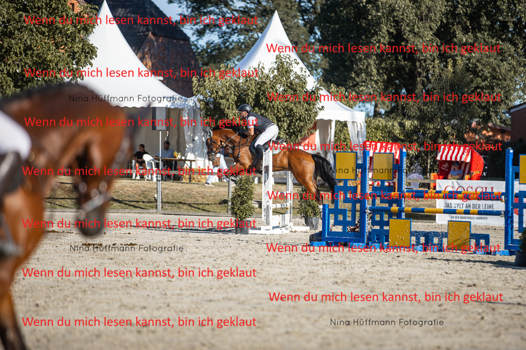 BK1A7762 | Turnierbilder Turnierfotos Nina Hüffmann Turnierfotografie Pferdefotografie Tierzeichnung Haustierzeichnung Pferdezeichnung Hundezeichnung Videograf  - Realisiert mit Pictrs.com