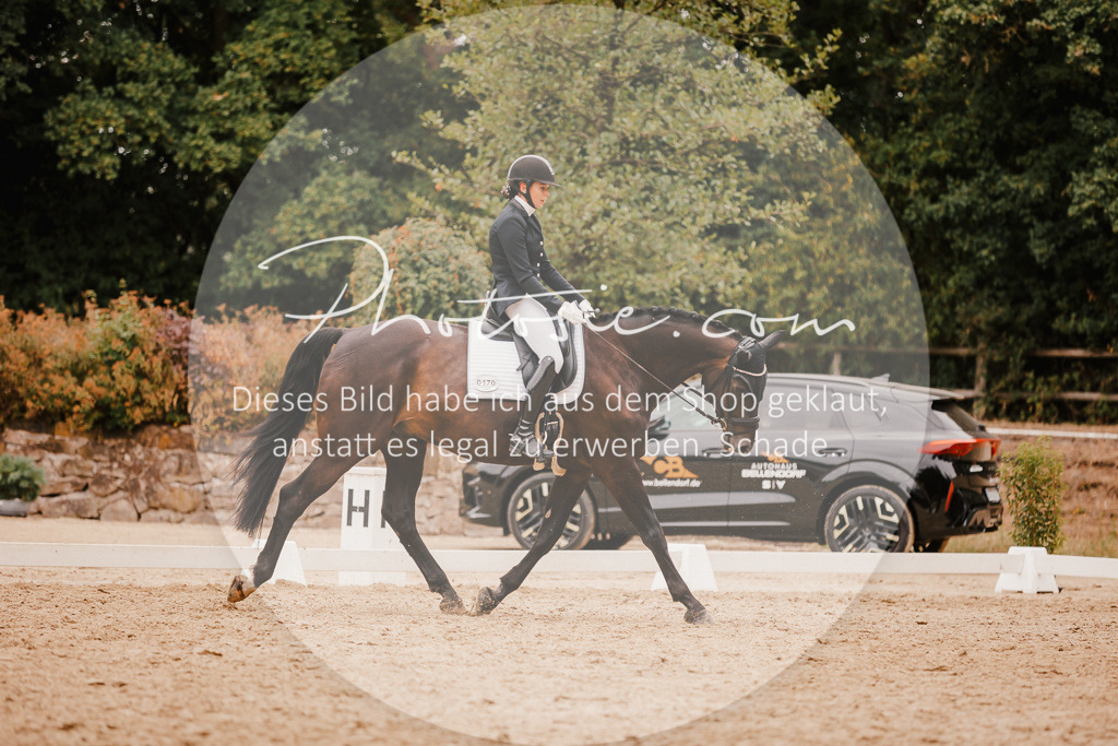 3I6A5854 | Stimmungsvolle Portraits und Reitsportfotografie im Ruhrgebiet und im Münsterland.

Pferdefotografie, Hundefotografie, Tierfotografie, Reportagen, Portraits von Tier und Mensch, Turnierfotografie in Bochum, Recklinghausen, Marl, Haltern am See, Dülmen.. - Realisiert mit Pictrs.com