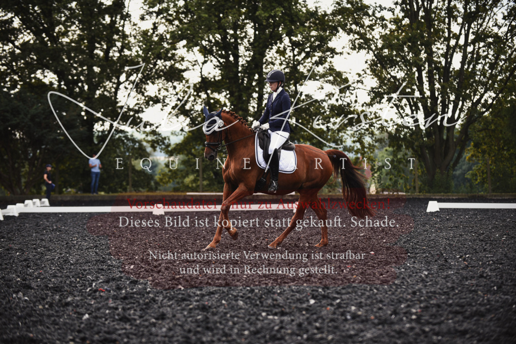 DSC_3803 | Pferde- und Turnierfotografie in Westsachsen. Pferdeportraits, Auftragszeichnungen und intuitive Kunst.