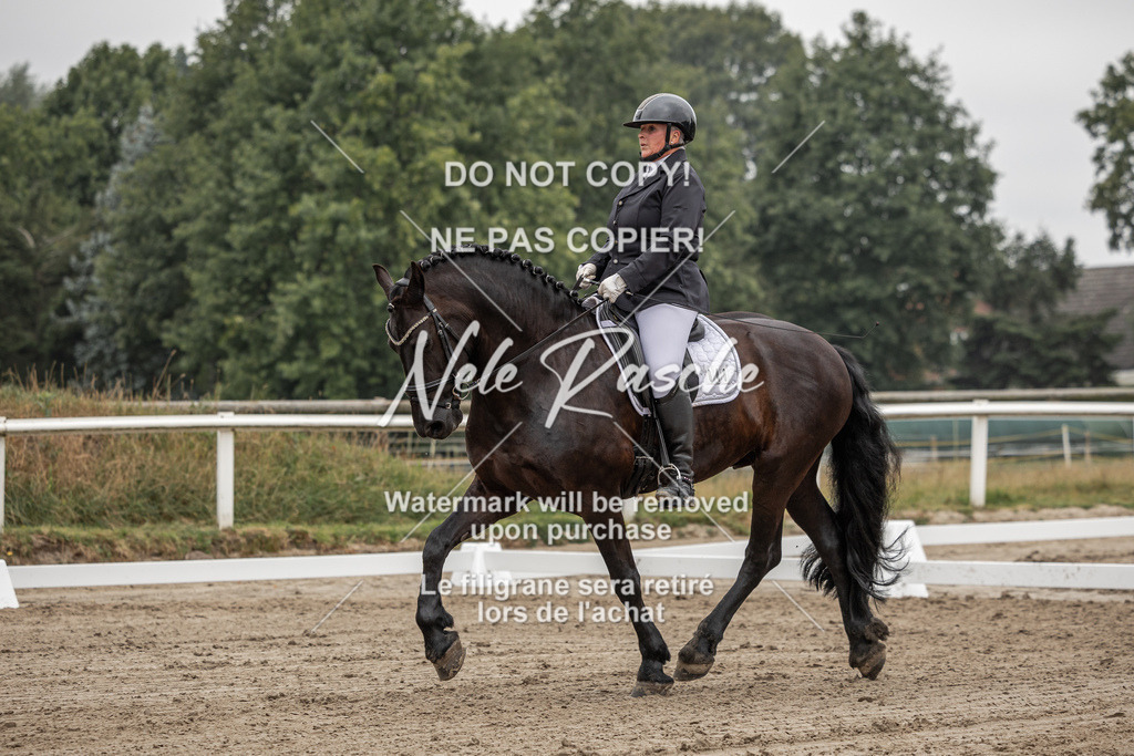nelerasche_DrL_Ede_121 | nelerasche