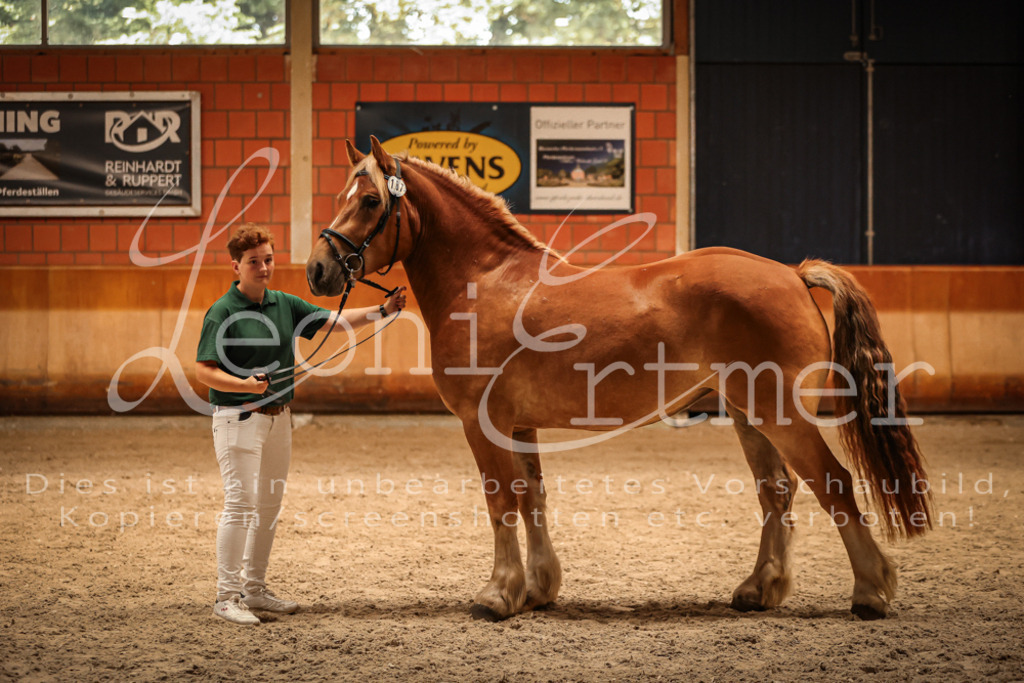 SaFL00161 | Leoni Ertmer Photography - Realisiert mit Pictrs.com