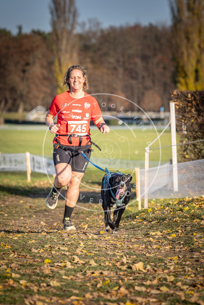CaniXpix_DV3A2335 | Hundefotografie, Tierfotograf, Pfotenfotografie, Fotoshooting Hund, Hunde Portrait, Hundesport, Hundeportraits, Heideshooting, Hunde, Sportfotograf, Hundefotograf, Turnierhundsport, THS,  - Realisiert mit Pictrs.com