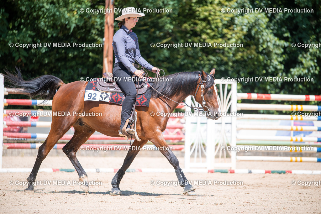 ZS1_1168 | dv-media-shop - Realisiert mit Pictrs.com