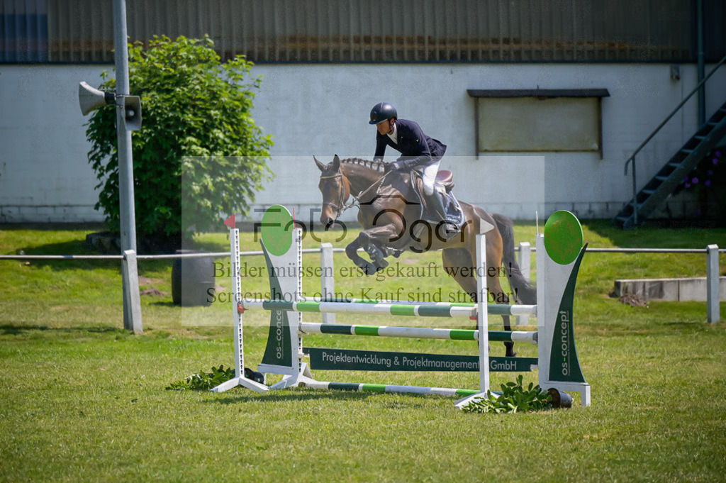 Reitturnier Voxtrup | Entdecke hochwertige Reitturnierfotos von Foto Oger. Professionell, emotional und authentisch – jetzt Lieblingsmomente im Shop bestellen.Deutschlandweite Turnierfotografie. - Realisiert mit Pictrs.com