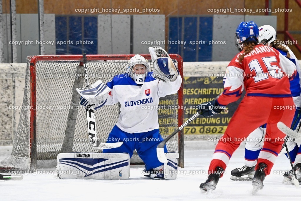 BST_5648 | hockey sports photos, Pressefotos, Sportfotos, hockey247, win 2day icehockeyleague, Handball Austria, Floorball Austria, ÖVV, Kärntner Eishockeyverband, KEHV, KFV, Kärntner Fussballverband, Österreichischer Volleyballverband, Alps Hockey League, ÖFB, 