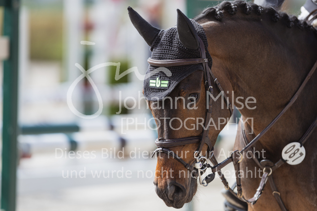 230425_Lemwerder_SprPf-A2St-233 | Deine schönsten Turniermomente als professionelle Fotos! Entdecke hochwertige Pferdesport-Fotografie im Online-Shop. Jetzt Fotos finden & bestellen!