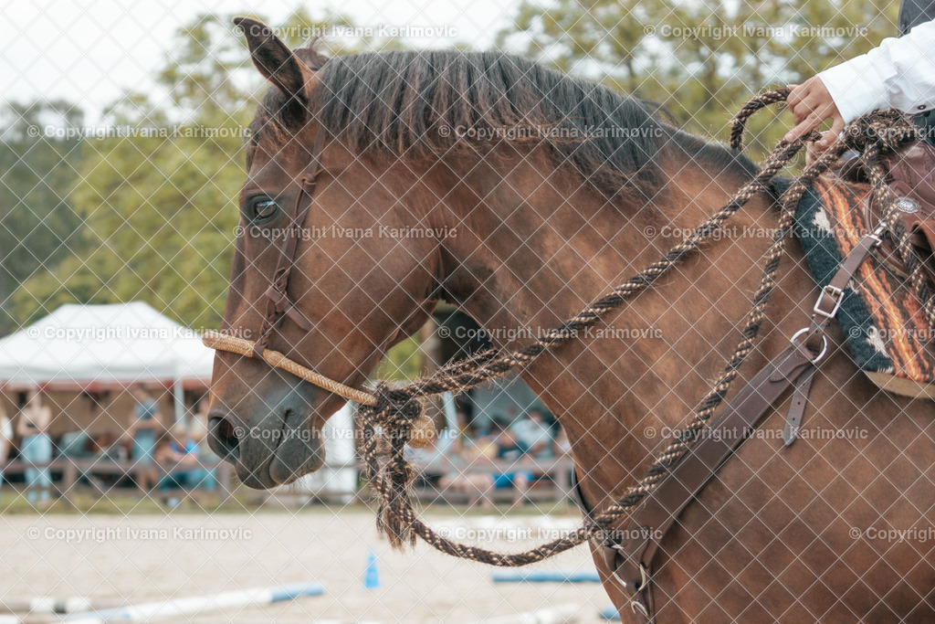 DSC01267 | ikphotography - Realisiert mit Pictrs.com