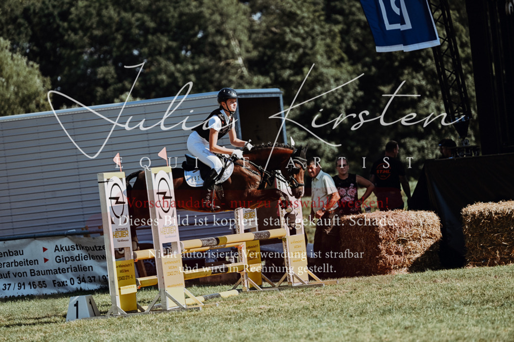 DSC_6823 | Pferde- und Turnierfotografie in Westsachsen. Pferdeportraits, Auftragszeichnungen und intuitive Kunst.