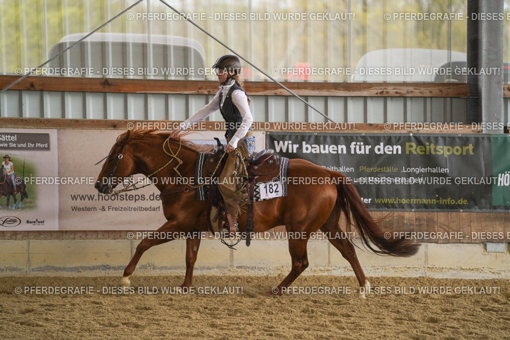 DSC08723 | Pferdegrafie