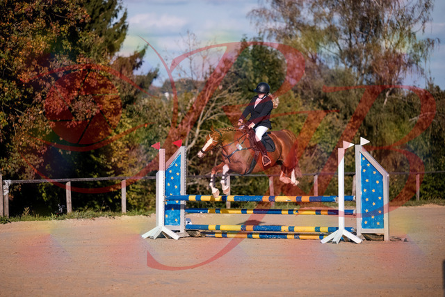 2026_10_03_Siefer-Hof_171733_Z81_15448484 | Professionelle Reitsport-, Turnier- und Eventfotografie von Robert Broda. Galerien mit ausgewählten und bearbeiteten Bildern direkt online ansehen und bestellen.