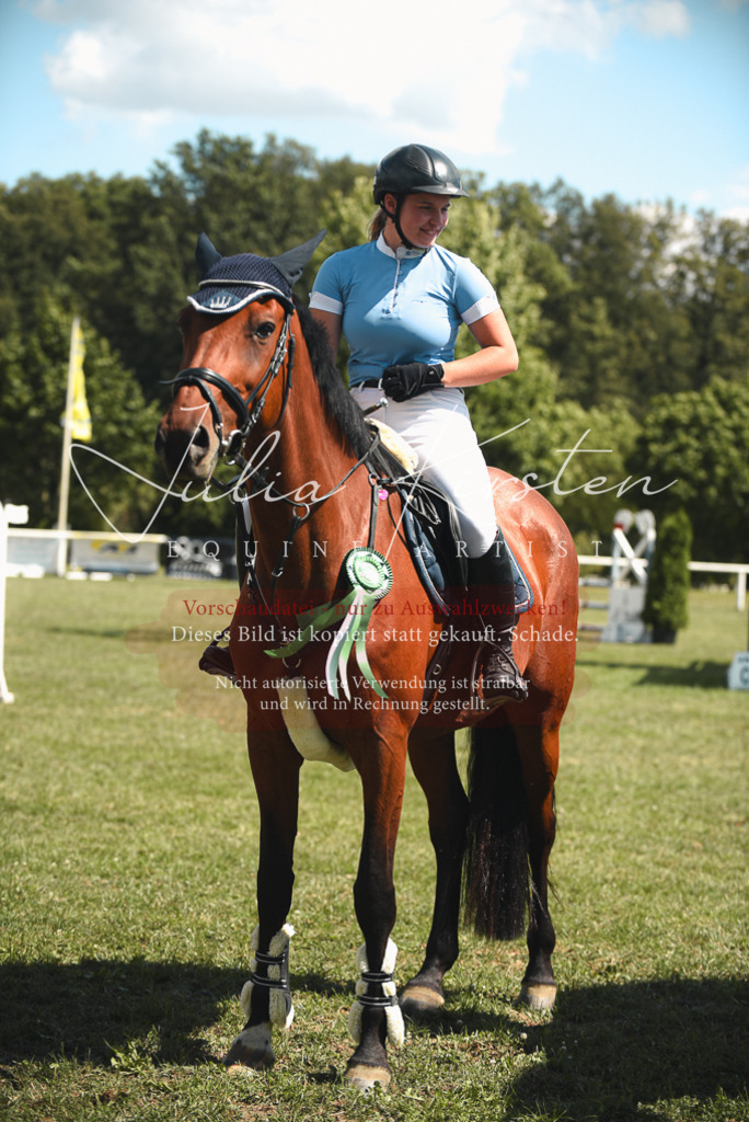 DSC_6829 | Pferde- und Turnierfotografie in Westsachsen. Pferdeportraits, Auftragszeichnungen und intuitive Kunst.