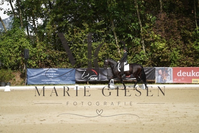 VAN00768 | Marie Giesen Fotografie - Realisiert mit Pictrs.com