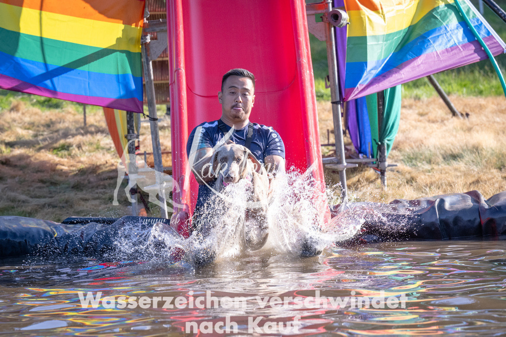 1720_ZZ94800 | kk-dogfotos