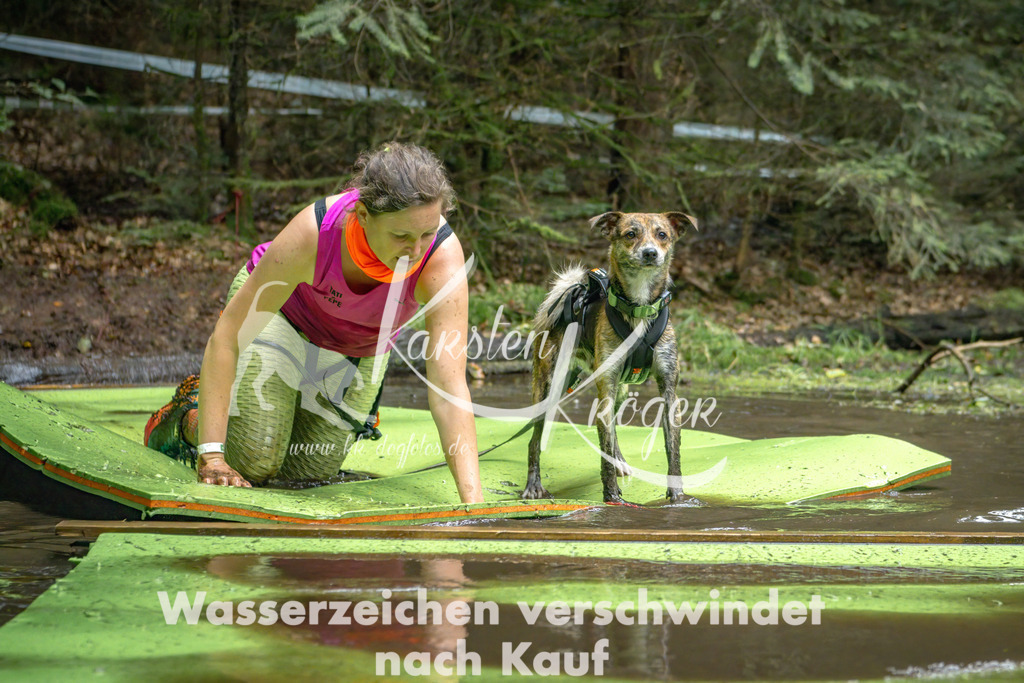 1517_ZZ90161-Bearbeitet | kk-dogfotos