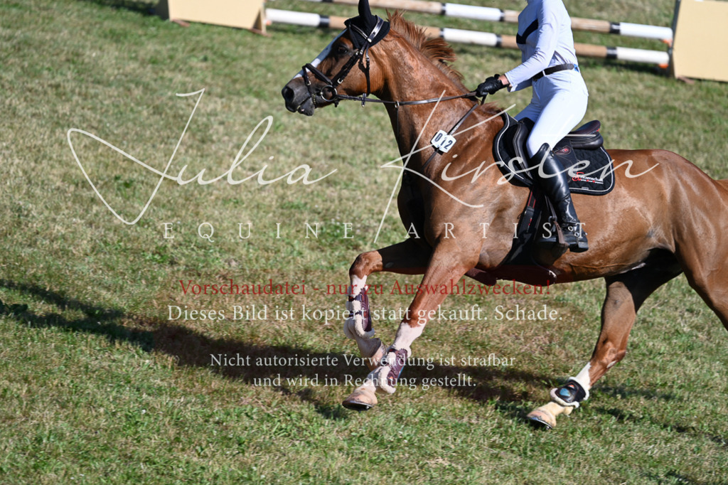 DSC_2300 | Pferde- und Turnierfotografie in Westsachsen. Pferdeportraits, Auftragszeichnungen und intuitive Kunst.