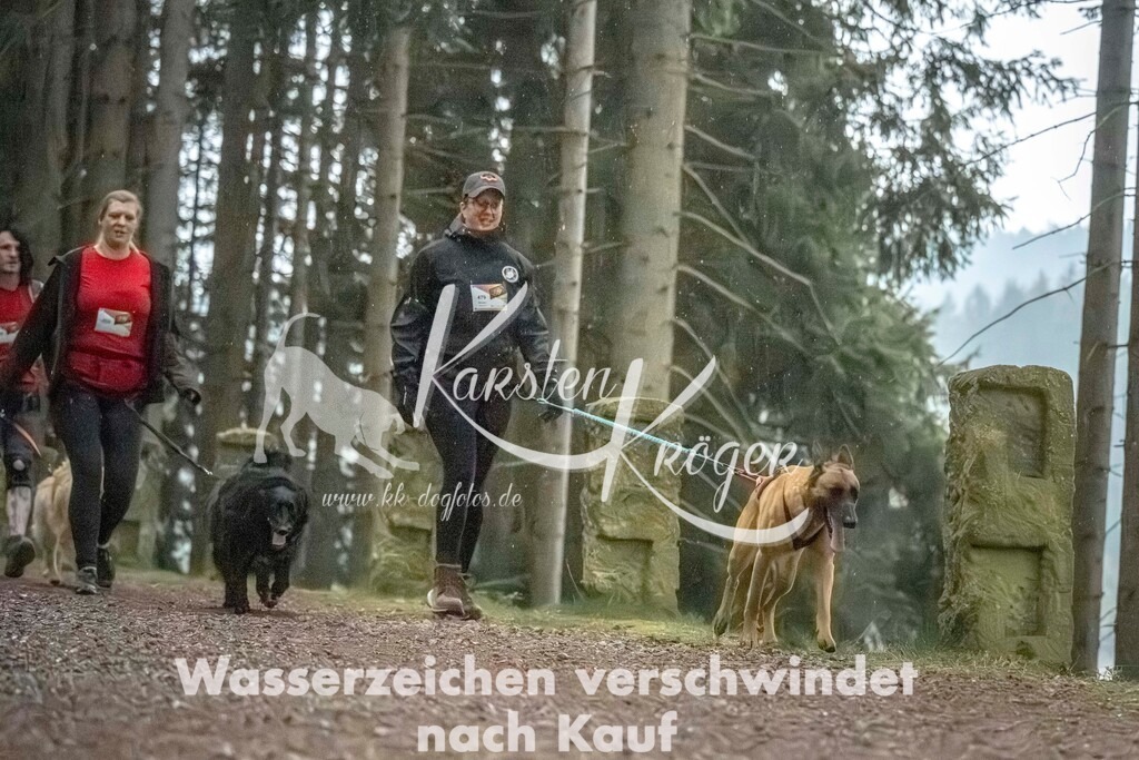 0834_ZZ92037 | kk-dogfotos