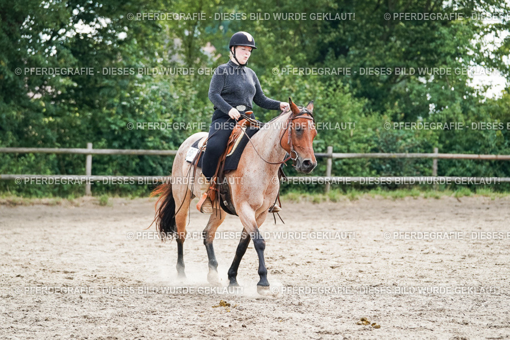 DSC04512 | Pferdegrafie