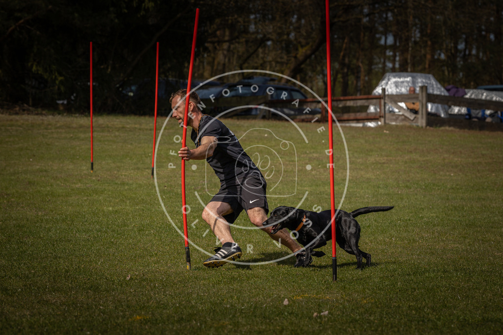 Pfotenfotografie_DV3A4322 | Hundefotografie, Tierfotograf, Pfotenfotografie, Fotoshooting Hund, Hunde Portrait, Hundesport, Hundeportraits, Heideshooting, Hunde, Sportfotograf, Hundefotograf, Turnierhundsport, THS,  - Realisiert mit Pictrs.com