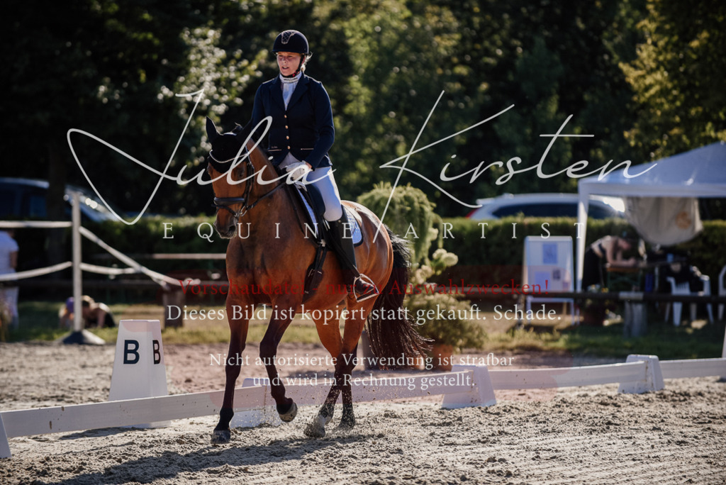DSC_0410 | Pferde- und Turnierfotografie in Westsachsen. Pferdeportraits, Auftragszeichnungen und intuitive Kunst.