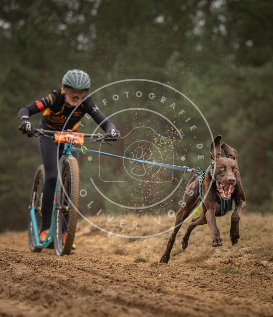 Pfotenfotografie_DV3A4238 | Hundefotografie, Tierfotograf, Pfotenfotografie, Fotoshooting Hund, Hunde Portrait, Hundesport, Hundeportraits, Heideshooting, Hunde, Sportfotograf, Hundefotograf, Turnierhundsport, THS,  - Realisiert mit Pictrs.com