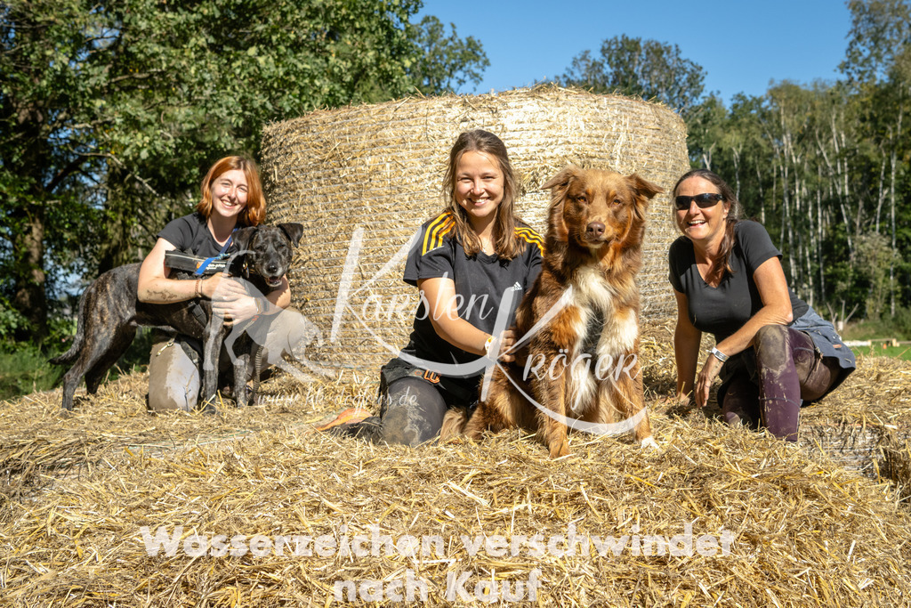 1248_ZZ92426-2 | kk-dogfotos