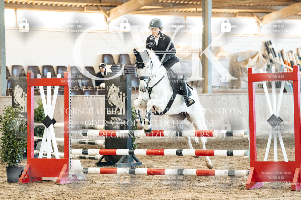 CK904607 | Turnierfotografie Pferdefotografie Trier Rheinland-Pfalz Pferdesport Reitsport Tierfotografie Sportfotografie Pferdevideo Pferdevideografie Equestrianvideography equestrianphotography  - Realisiert mit Pictrs.com