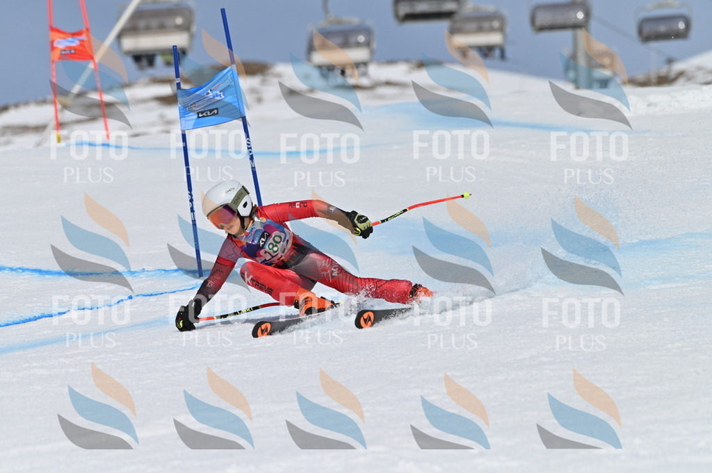 BGV_3539 | holidayphoto