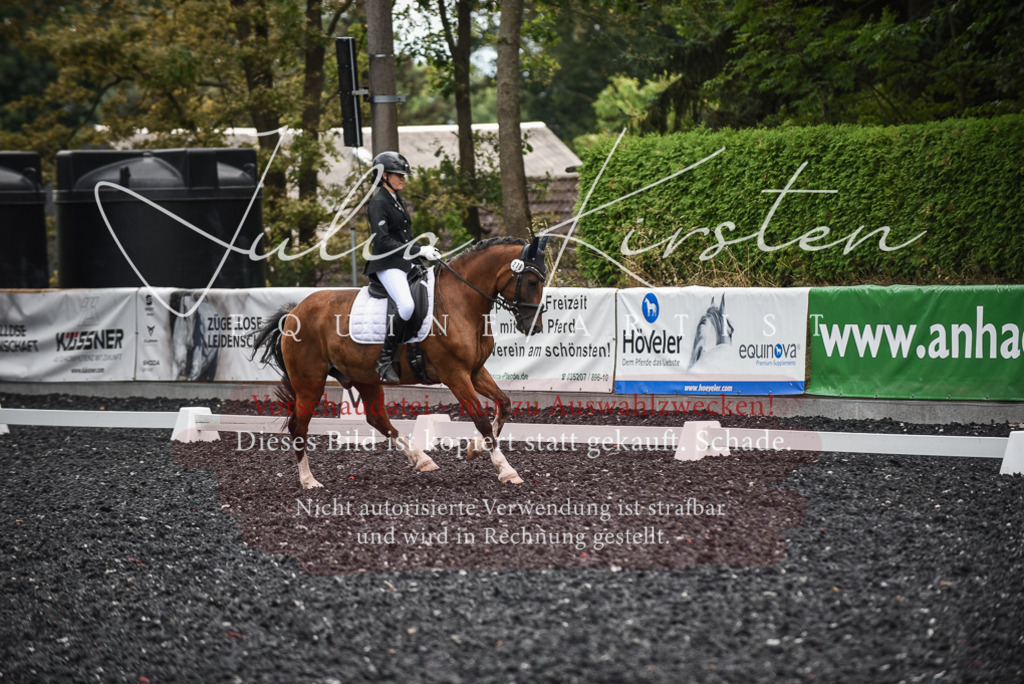 DSC_4510 | Pferde- und Turnierfotografie in Westsachsen. Pferdeportraits, Auftragszeichnungen und intuitive Kunst.