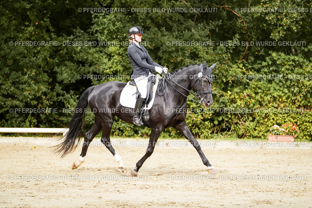 DSC03445 | Pferdegrafie