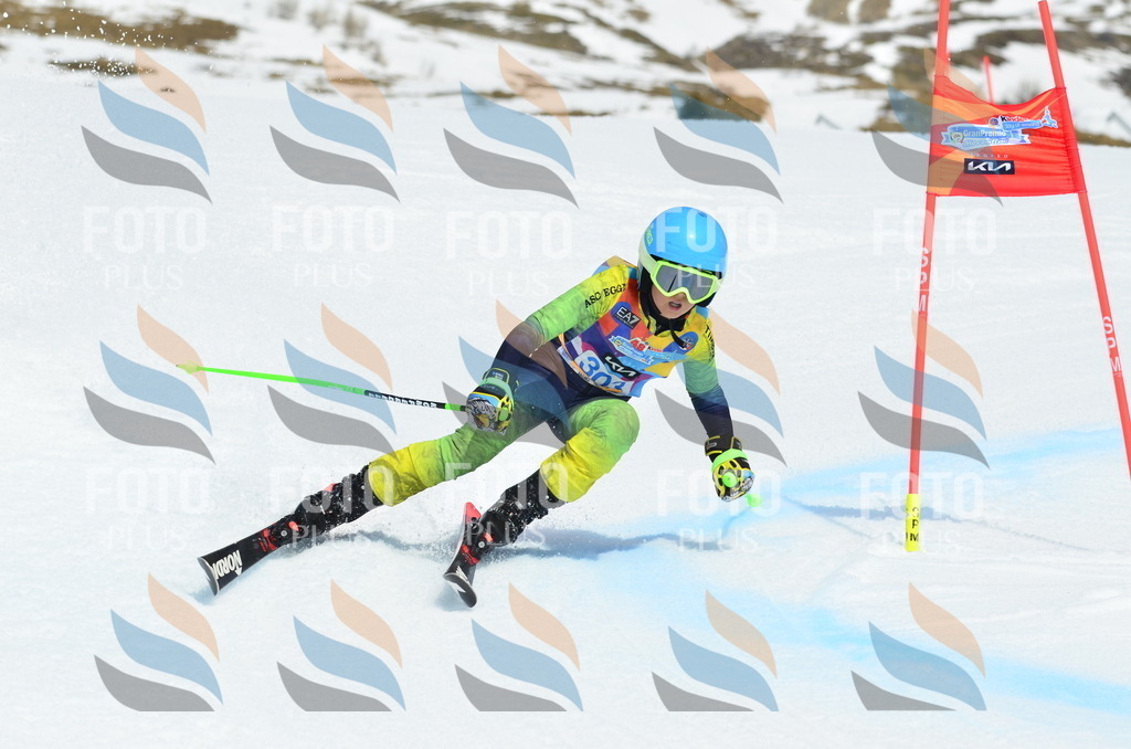 _ELE2234 | holidayphoto