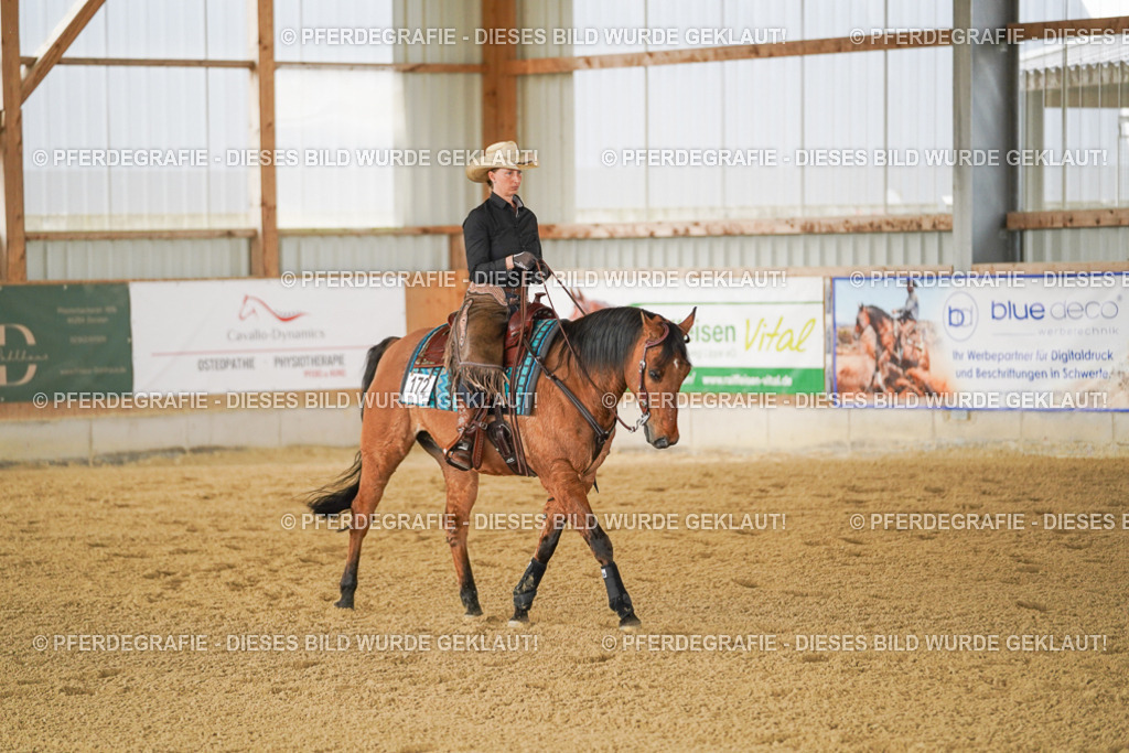 DSC03010 | Pferdegrafie