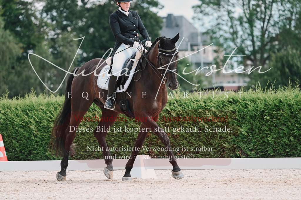 DSC_4252 | Pferde- und Turnierfotografie in Westsachsen. Pferdeportraits, Auftragszeichnungen und intuitive Kunst.