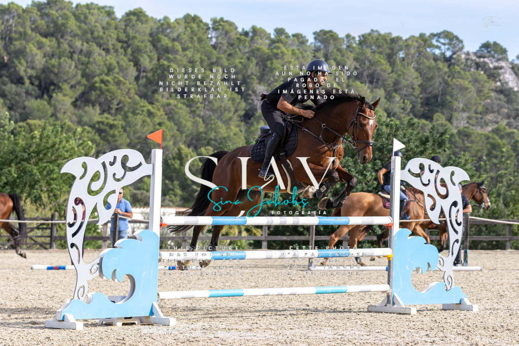 IMG_4245 | s-jay-photography - Realisiert mit Pictrs.com