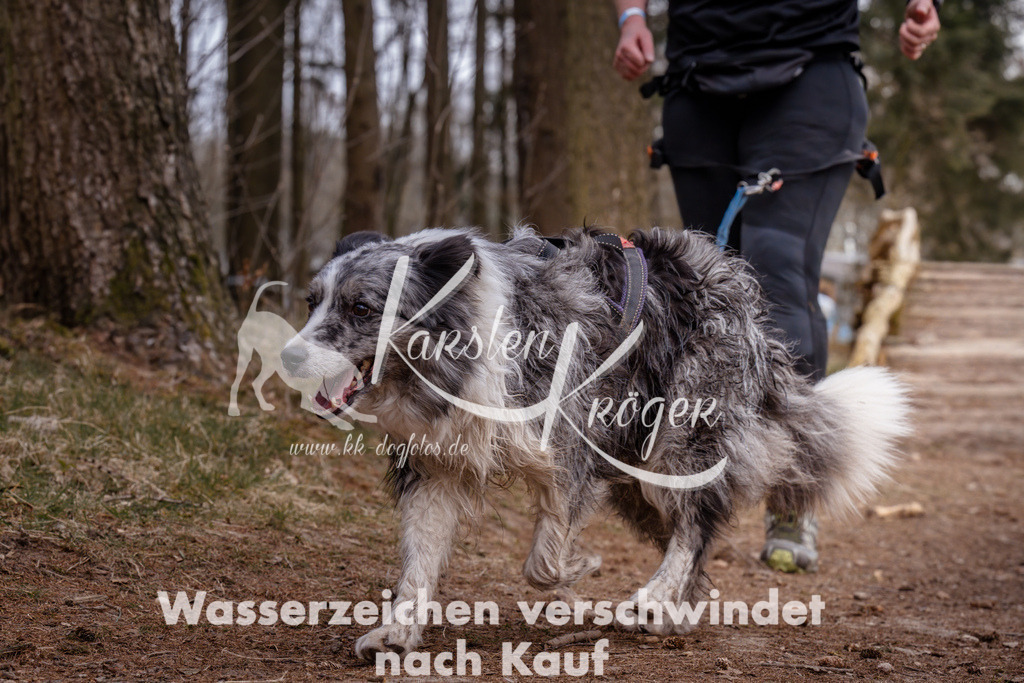 1621_ZZ93867 | kk-dogfotos