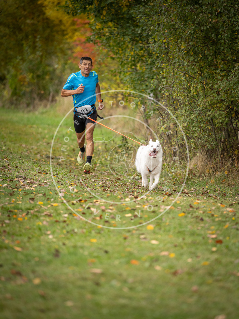 Pfotenfotografie_DV3A3314 | Hundefotografie, Tierfotograf, Pfotenfotografie, Fotoshooting Hund, Hunde Portrait, Hundesport, Hundeportraits, Heideshooting, Hunde, Sportfotograf, Hundefotograf, Turnierhundsport, THS,  - Realisiert mit Pictrs.com