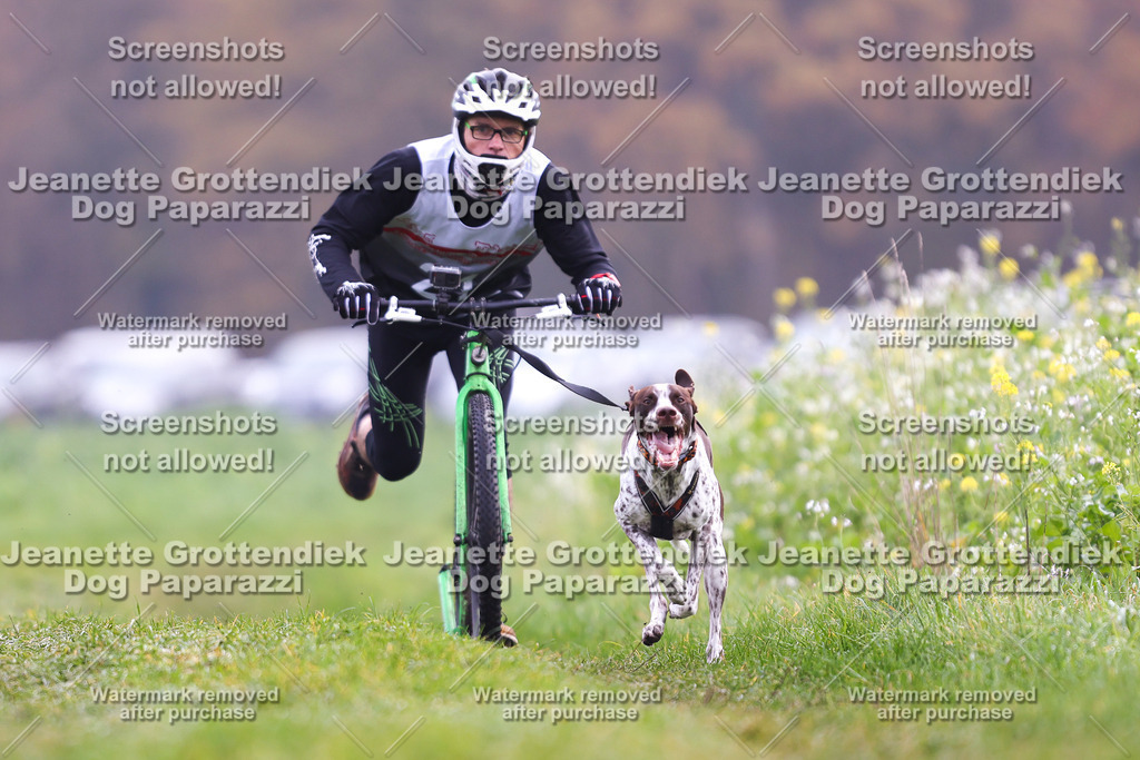 Dog Paparazzi - Visbeck 25 -279 | Dog Paparazzi Jeanette Grottendiek Fotografie & Videografie - Realisiert mit Pictrs.com