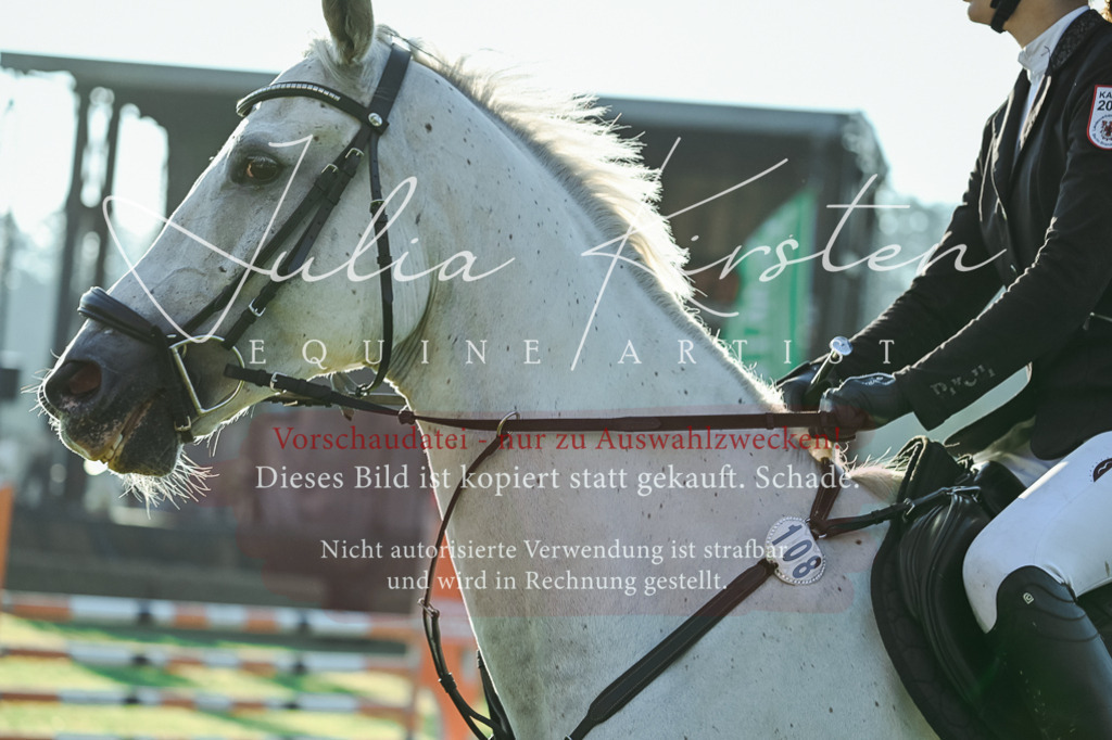 DSC_4029 | Pferde- und Turnierfotografie in Westsachsen. Pferdeportraits, Auftragszeichnungen und intuitive Kunst.