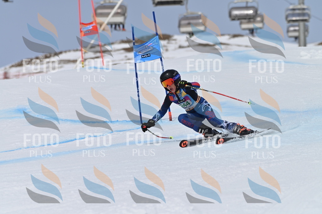 BGV_4830 | holidayphoto