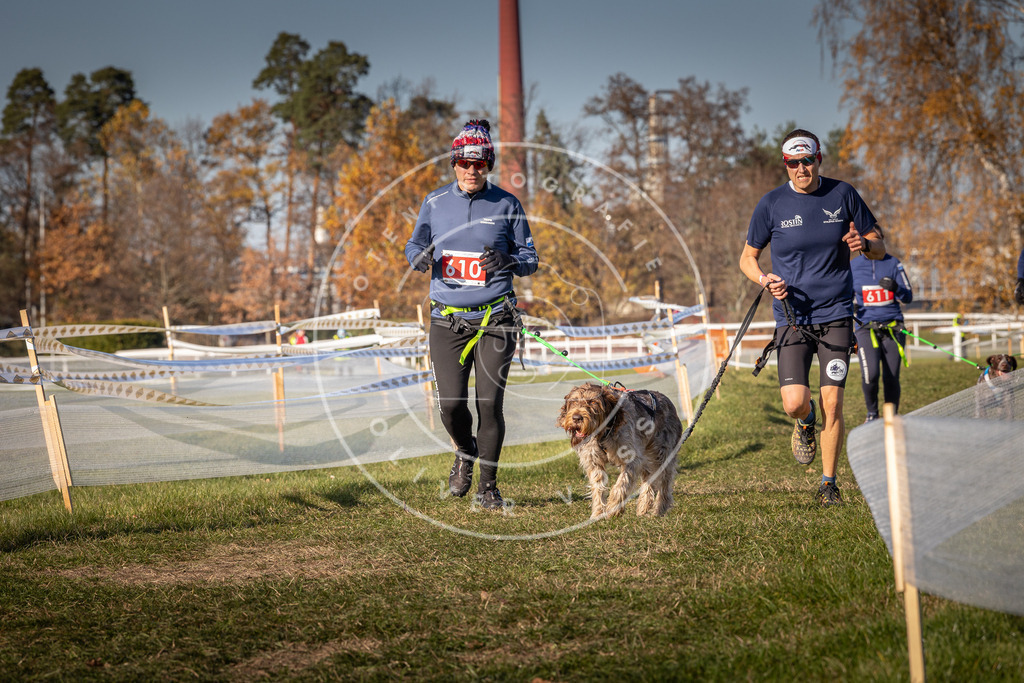 CaniXpix_0L8A8660 | Hundefotografie, Tierfotograf, Pfotenfotografie, Fotoshooting Hund, Hunde Portrait, Hundesport, Hundeportraits, Heideshooting, Hunde, Sportfotograf, Hundefotograf, Turnierhundsport, THS,  - Realisiert mit Pictrs.com
