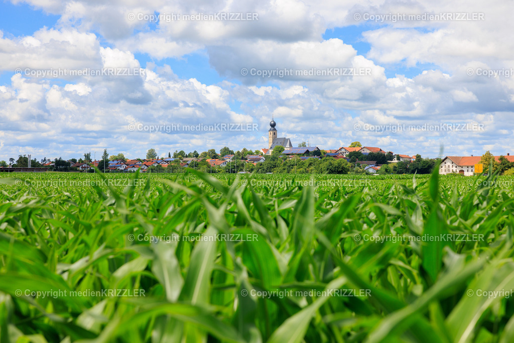 Engelsberg | medienkrizzler - Realisiert mit Pictrs.com