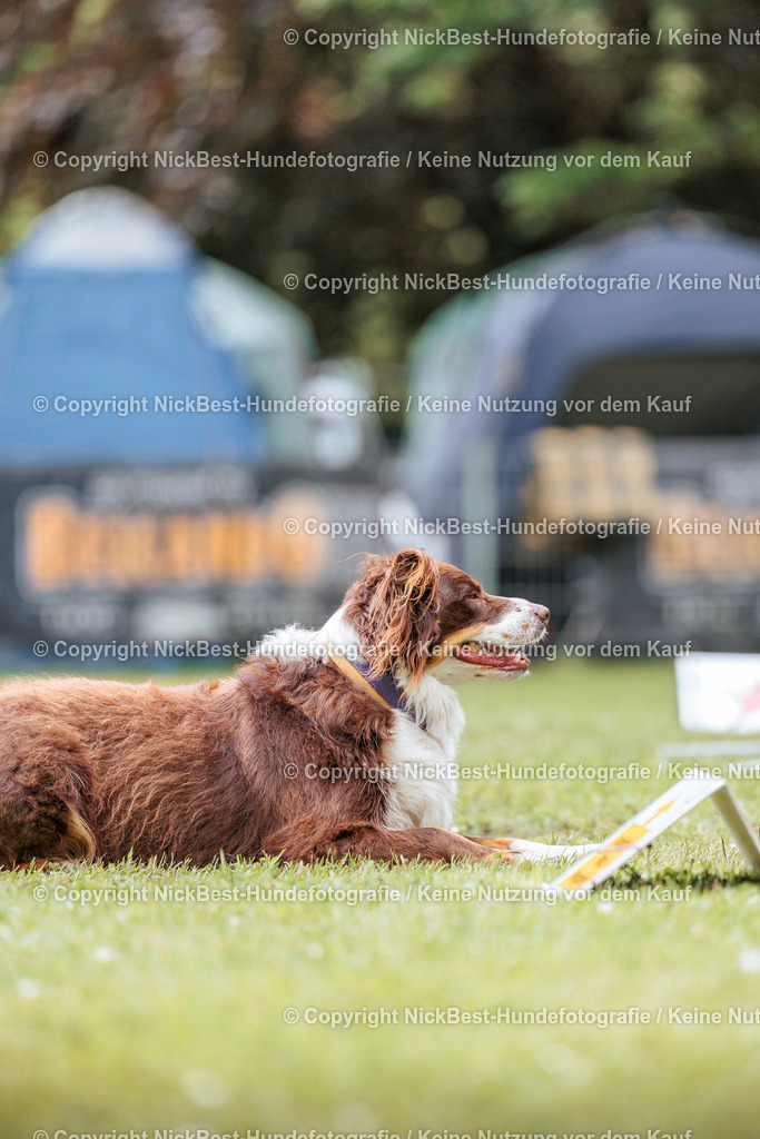 RO-Blumenthal-2026-Nickbest-Hundefotografie-2337 | Dein Hund! Dein Moment! Deine Erinnerungen! Hundefotografie in Bremen Blumenthal. Ich fange die besonderen Momente deines Vierbeiners ein – ob Indoor mit Blitzanlage oder in der freien Natur. Sicher dir dein Moment und dein Termin für eure Erinnerungen.