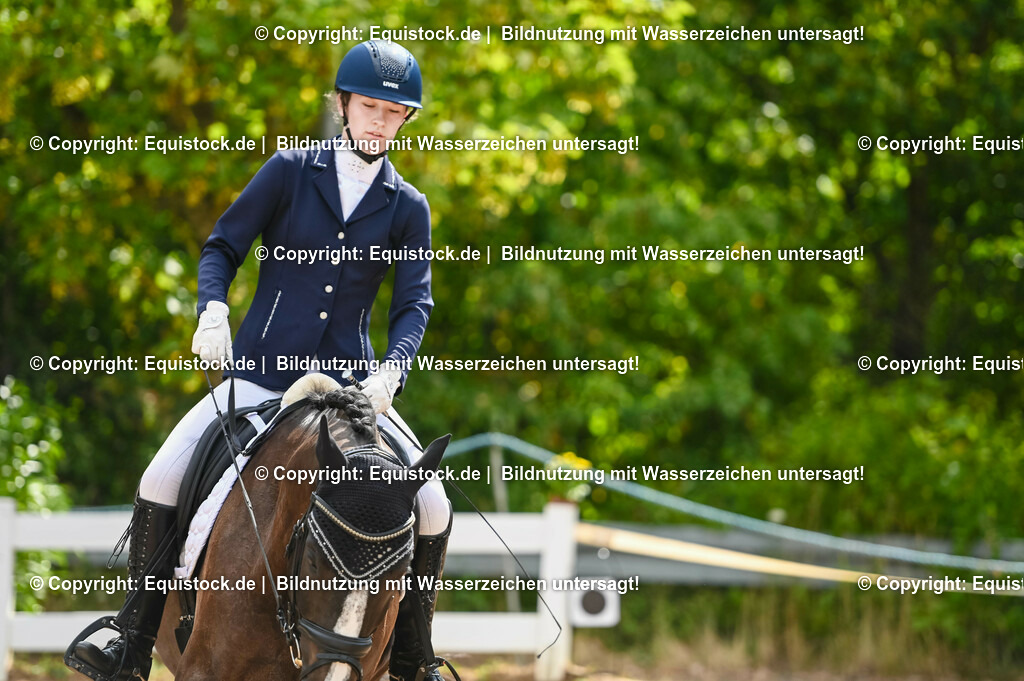 20230715_07_Dressurpferdeprfg. Kl.L_0006 | equistock