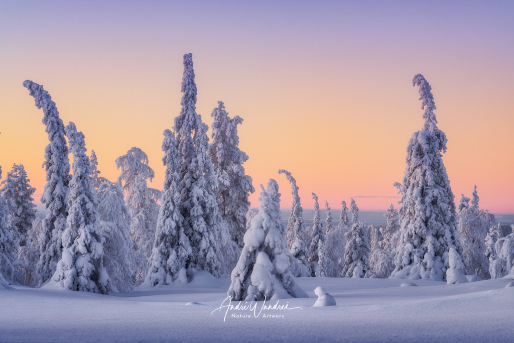 Nordische Ruhe | Andre Wandrei - Nature Artworx - Realisiert mit Pictrs.com