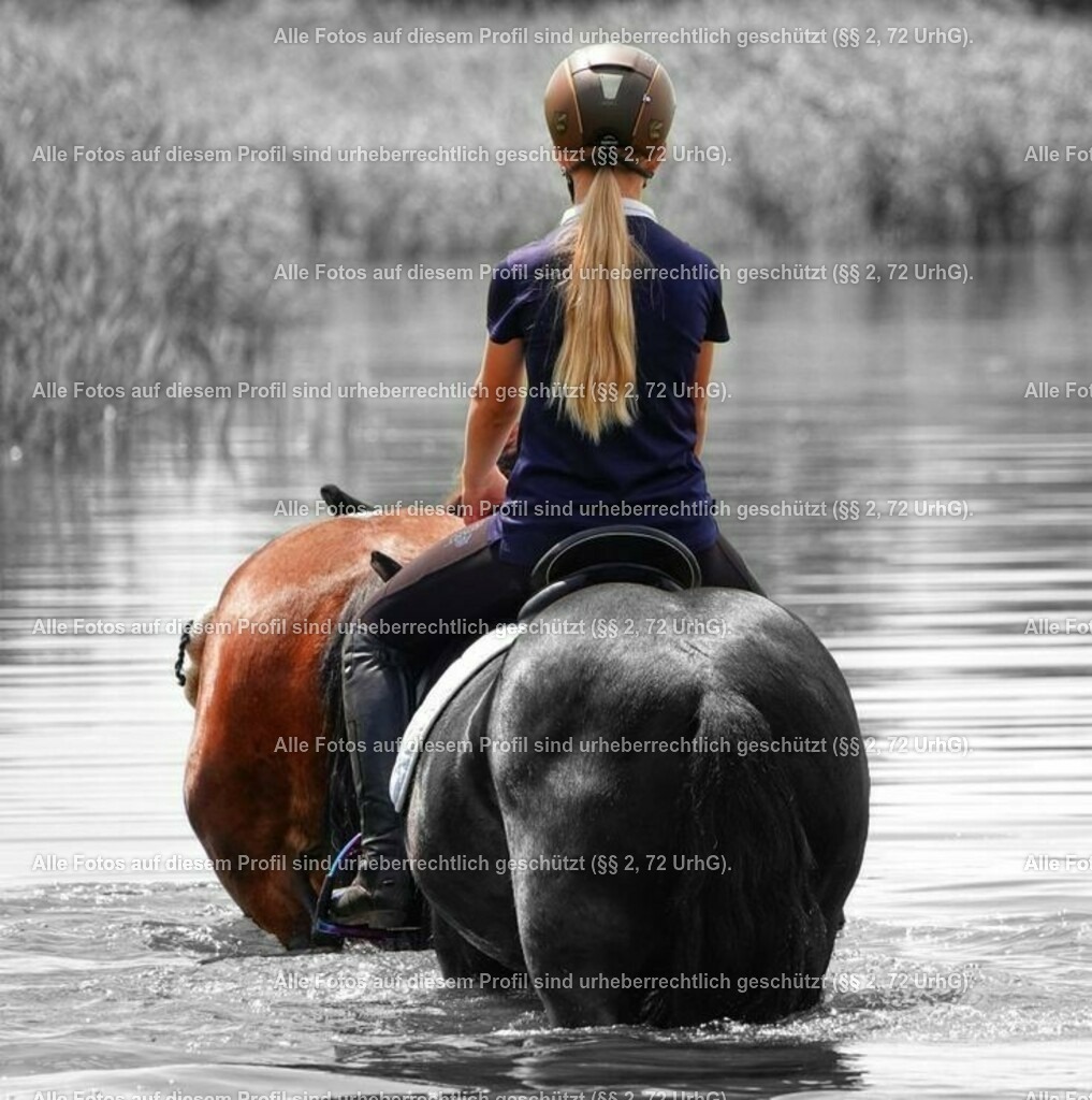 66124790cae54da32433ee9a3df09632 | krollfotografie - Realisiert mit Pictrs.com