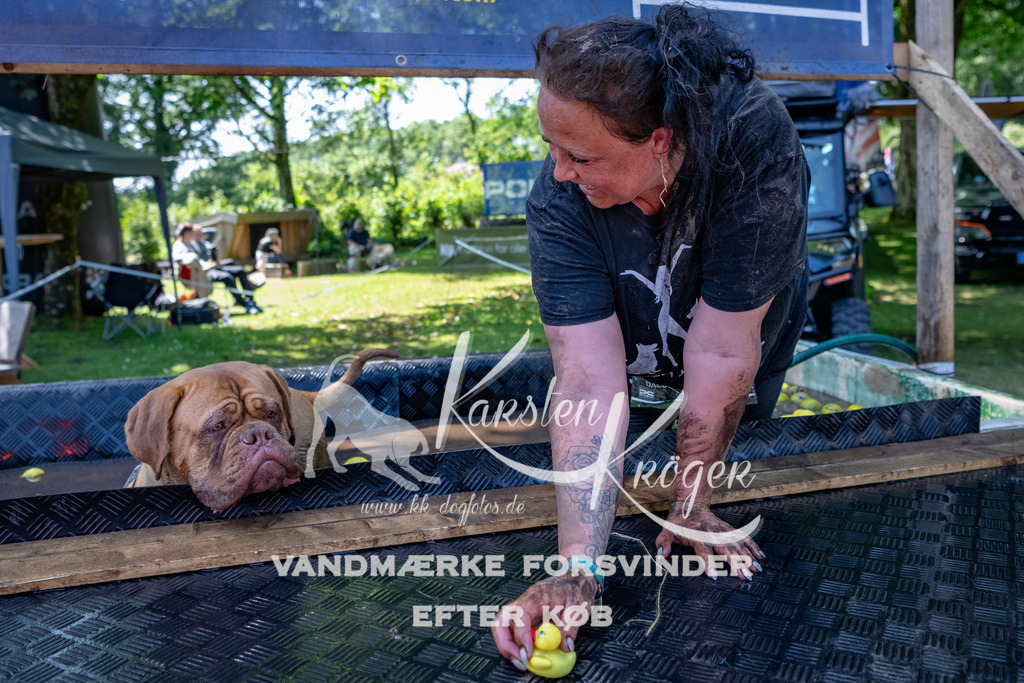 1333_ZZ91649 | kk-dogfotos