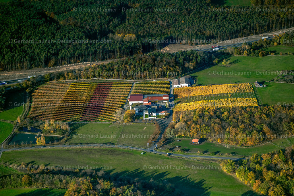 4042648 | Weingut Behringer