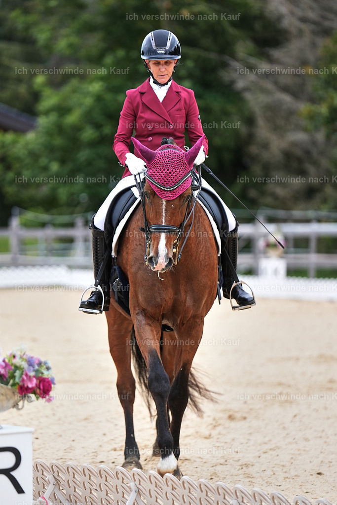 04_1-149-Dressur M__ -Marixx-2791 | working equitationturnier fotograf videograf stoibphotography marixx film working equitation deutschland reitsport turnierfotografie eventfotografie equestrian events