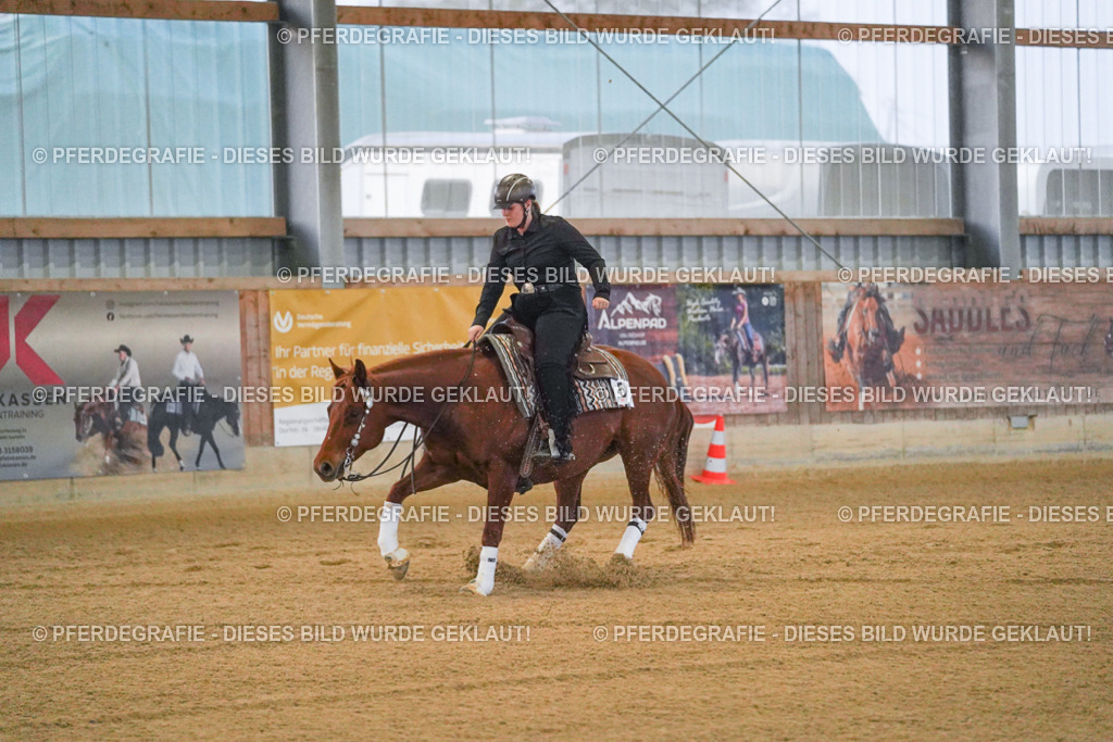 DSC09298 | Pferdegrafie